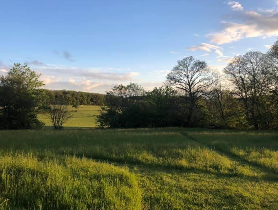 Gite Le Domaine D Orphee Marmagne  Exteriér fotografie